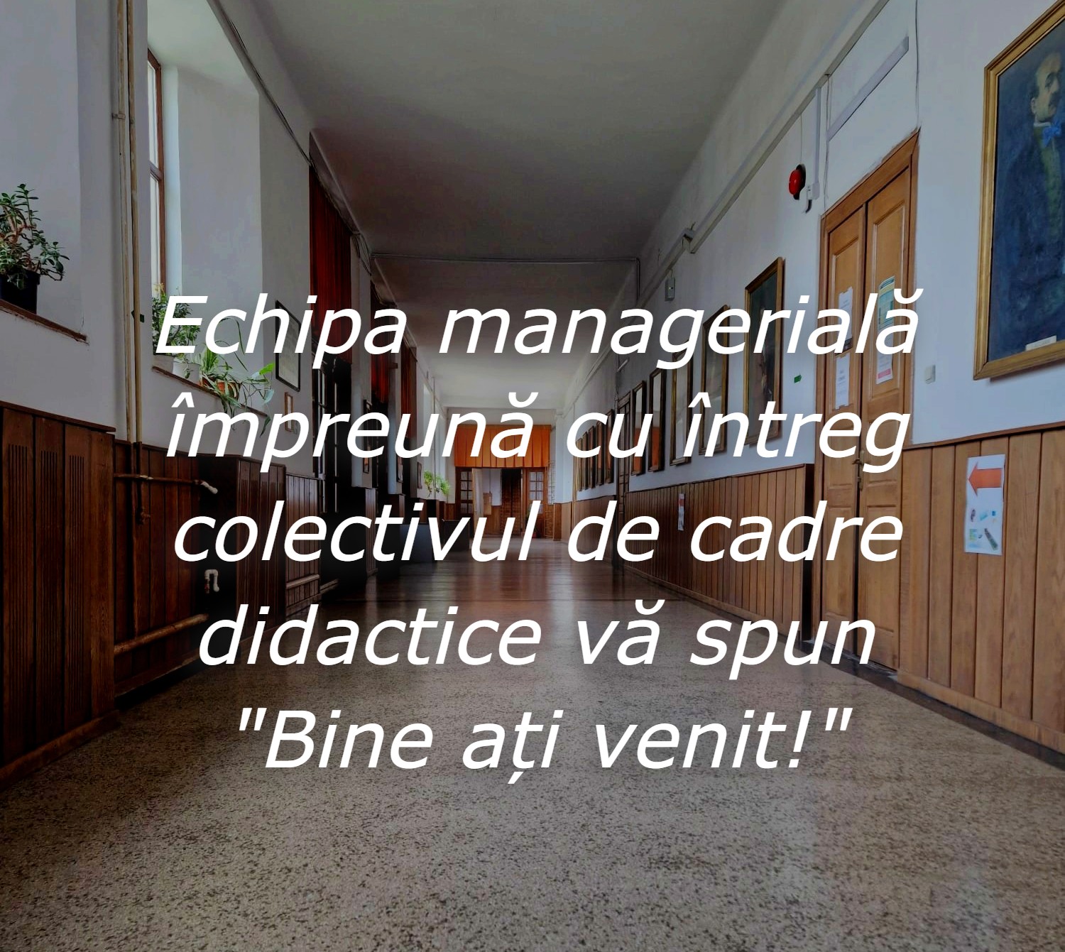 Read more about the article Bine ați venit!