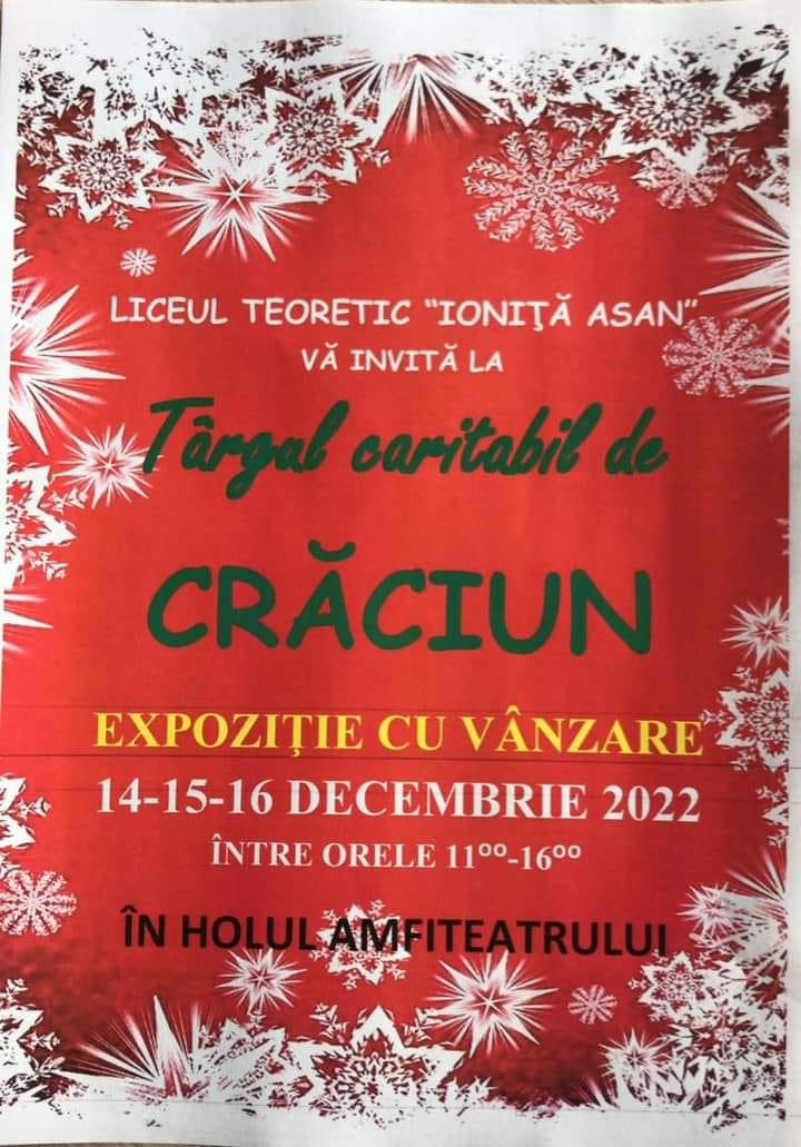 Read more about the article Târgul caritabil de Crăciun
