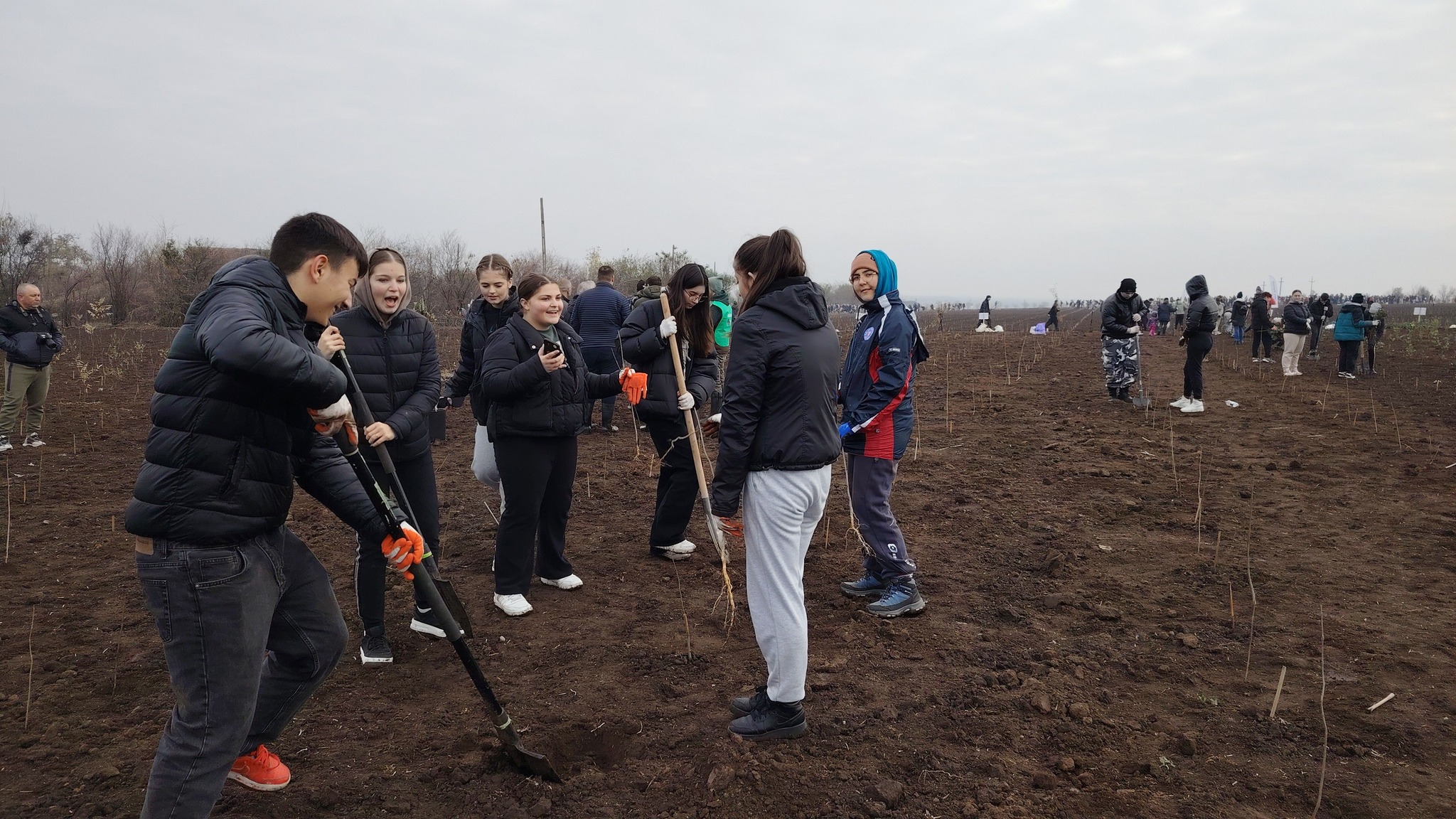 Read more about the article Plantăm fapte bune în România!