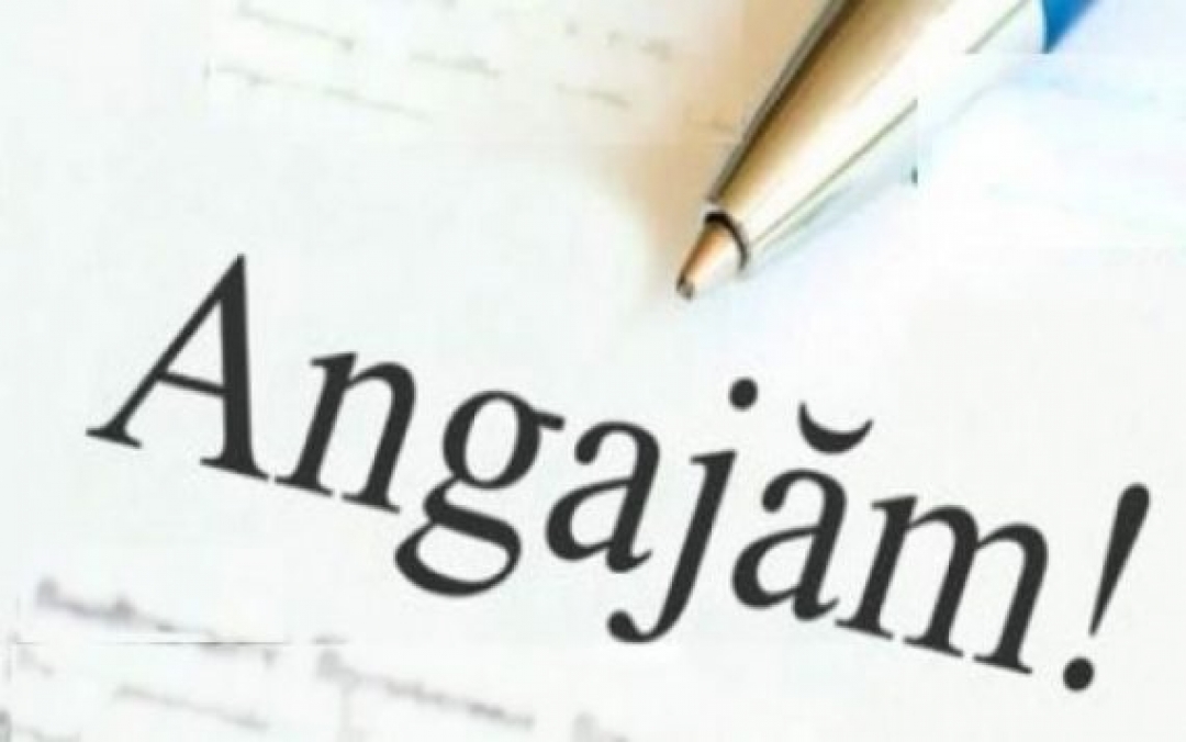 Read more about the article Anunț de angajare